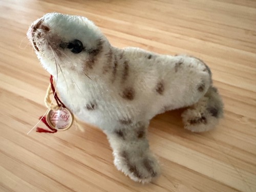 Seehund robbe von hermann - seehund, /