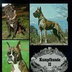 Kampfhunde, Bd.2 von Fleig, Dieter | Buch | Zustand gut