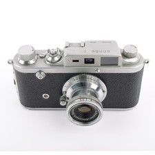 Gatto Italy Sonne C w