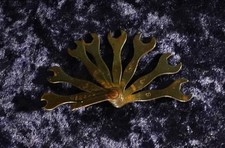 altes Werkzeug Bordwerkzeug für Zündmagnet Magnetschlüssel Oldtimer Flugzeug alt