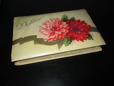 DDR Leerverpackung Dahlien