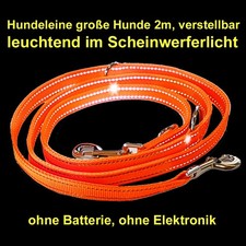 Hundeleine große Hunde