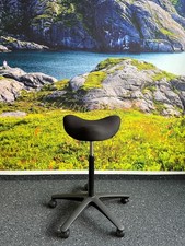 Varier Move Stuhl Sattelhocker