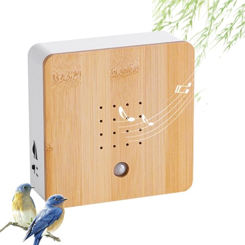 Vogelgezwitscher box aus holz - box,