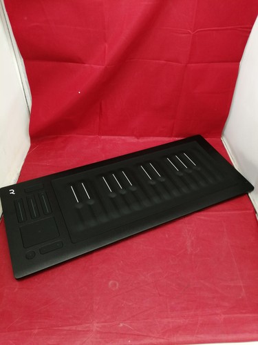 Roli seaboard rise - seaboard,