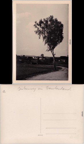 Nördlingen birkenweg - birkenweg, im