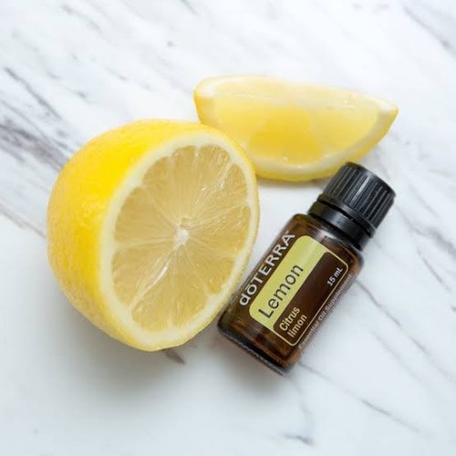 Lemon citrus limon - (zitrone),