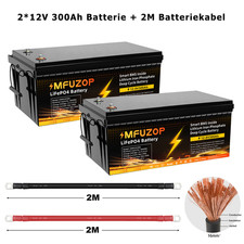 2* 12V 300AH 7680WH LiFePO4 Batterie Eingebautes BMS Solar RV + 2m Batteriekabel