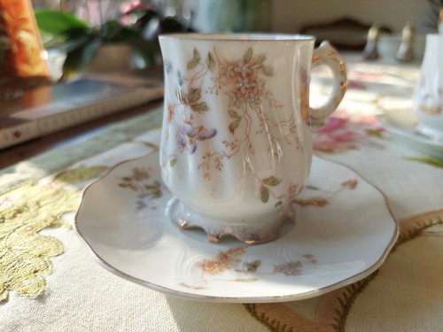 Rosenthal porzellan tasse - rosenthal,