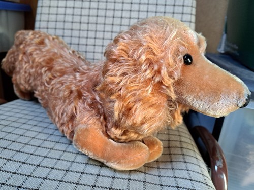 Steiff dackel waldi - dackel,