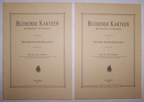 Blühende kakteen 1900 - blühende,