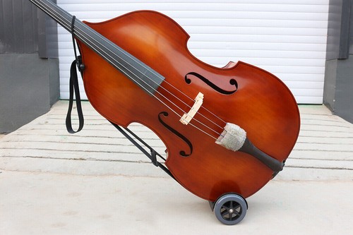 Upright double bass - double,