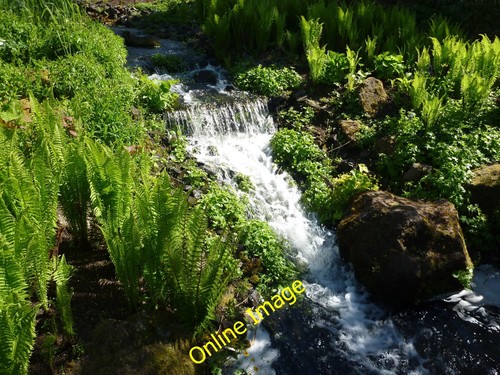 Foto 12x8 royal botanic garden - royal,