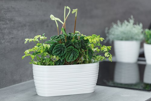 übertopf wellen slim - slim, oval