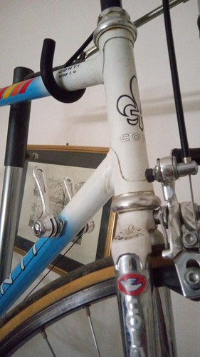 Rennrad conti ciocc crew galli - rennrad,