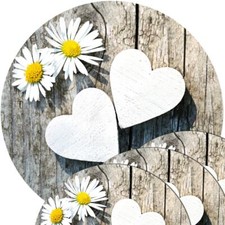 Tischsets Platzsets MOTIV