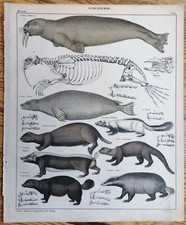 Oken original print folio