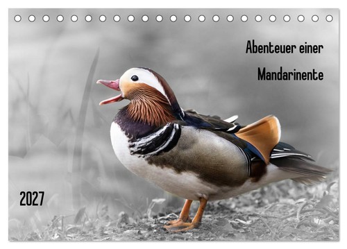 Abenteuer einer mandarinente - abenteuer,