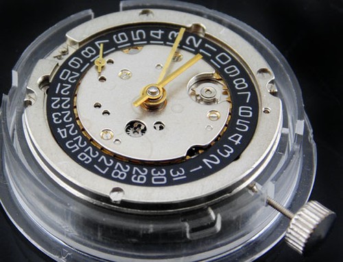 Seagu seagull 2557 - seagull,