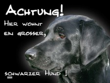 LABRADOR schwarz SCHILD