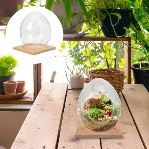Mikrolandschafts-terrarium