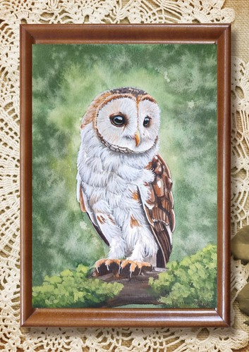 Originale schleiereule - originale,