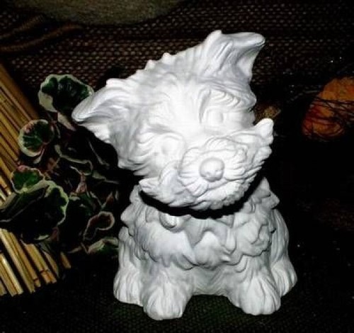 1977 hund westi - -,