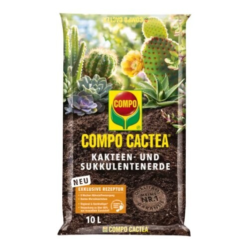Compo cactea kakteen und - kakteen-,