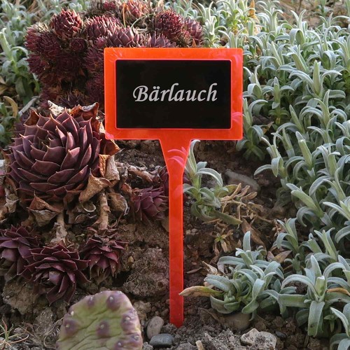 Plexiglas pflanzschild - plexiglas®,