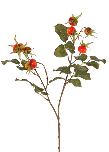 Artplants kunstzweig wildrose - artplants,