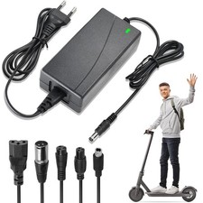 Ladegeräte für Scooter E