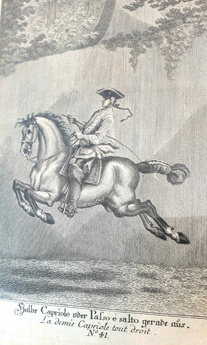Joh ridinger 1698 1767 - e.,