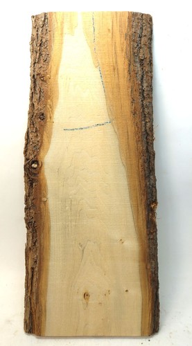 Lindenholz brett mit - lindenholz, rinde