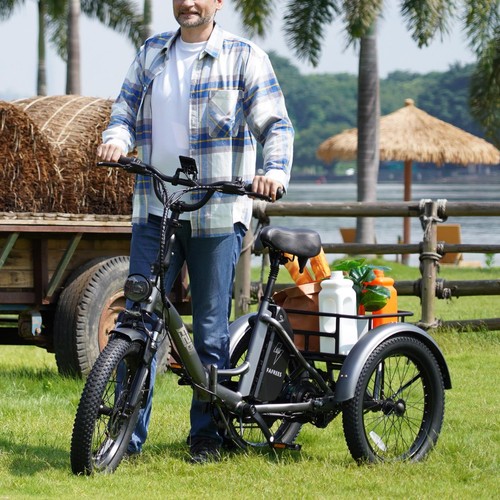 Dreirad rad elektrofahrrad - e-dreirad, 3-rad