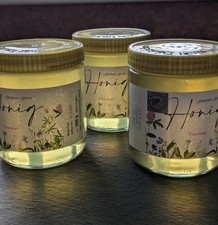 Robinie-3x 500g Echter