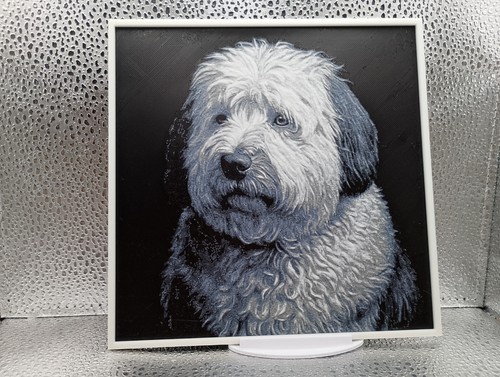 Wandbild hund bobtail - hund,
