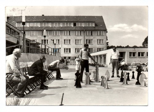 Foto lychen fdgb - foto,