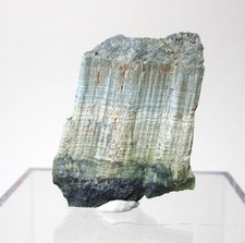 +++ Silberauge -- Schwarzsee