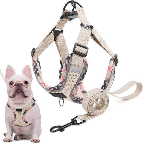 Hundegeschirr kleine