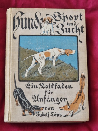 Hunde sport und - hunde,