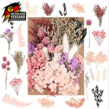 Mini Trockenblumen Rosa