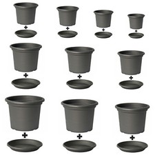 Blumentopf mit Untersetzer in