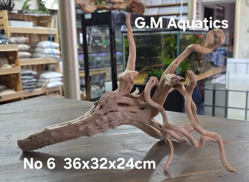 Spider slim holz aquascape - slim,