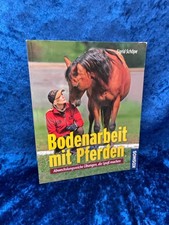 Bodenarbeit mit Pferden: Abwechslungsreiche Übungen, die Spaß machen Abwechslung
