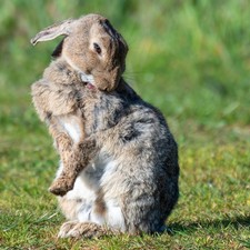 Panasonic DMC LF1  Black / 12,1MP / Leica 28-200mm Objektiv /  Getestet Top 1239