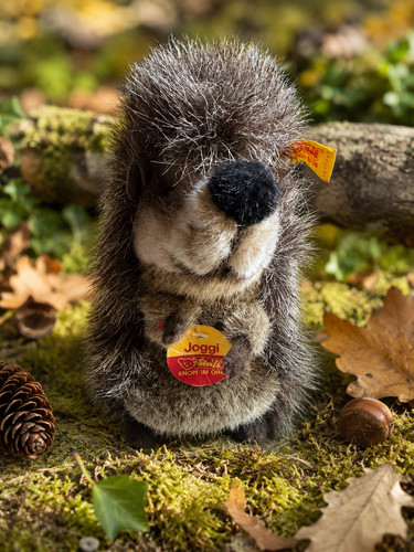 Steiff igel joggi 18cm - steiff,