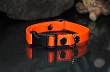 Halsband Nylon 15mm