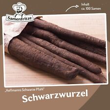 Schwarzwurzel Hoffmanns Schwarze Pfahl ca. 100 Samen - winterhart