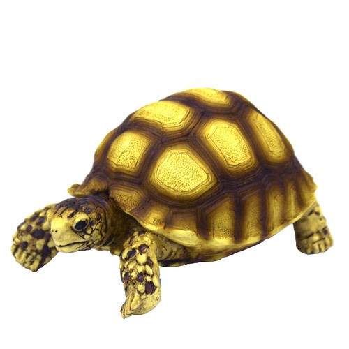 Hobby turtle 10x6x5cm - 2,