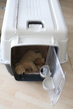 xXXL  Hundetransportbox Flugbox/Ruhe/Autobox, Dunkelgrau für Hunde